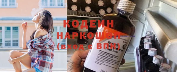 сатива Осинники